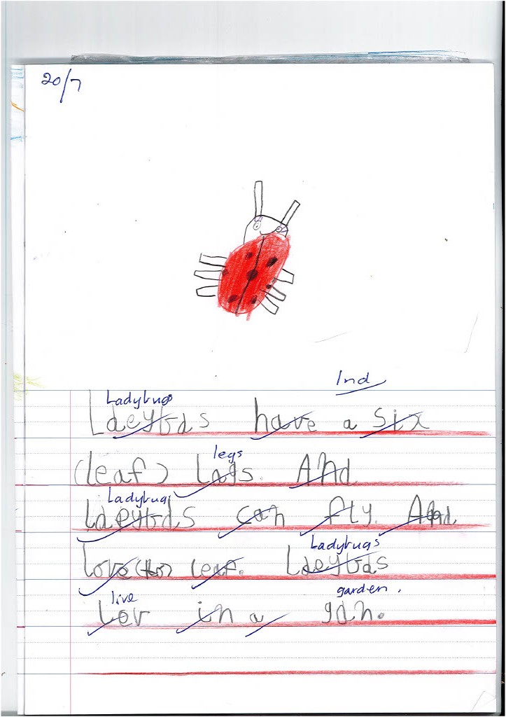 /uploaded_files/media/gallery/1659496282Lady bugs writing1024_3.jpg